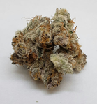 Photograph of product: Forbins Finest | Mountain Girl | Indoor | Coco Coir | Bulk - 28g