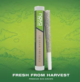 Photograph of product: Nova Farms - Planet of the Grapes 1g Cone Joint