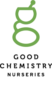 Photograph of product: Sugar Cane Live Rosin | 1g