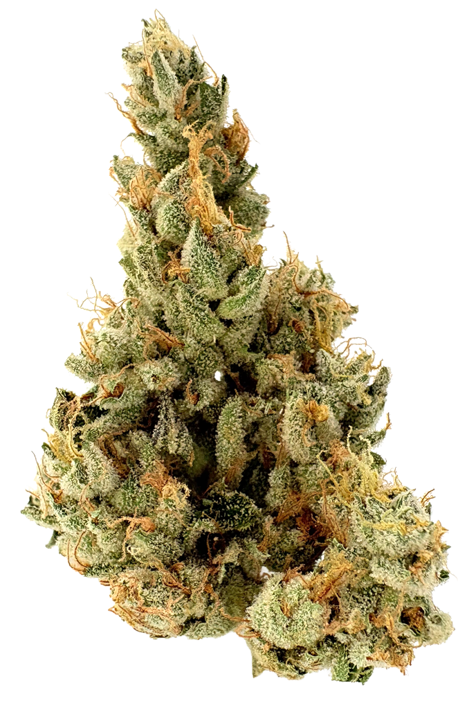 Photograph of product: Sense | GMO | 3.5G