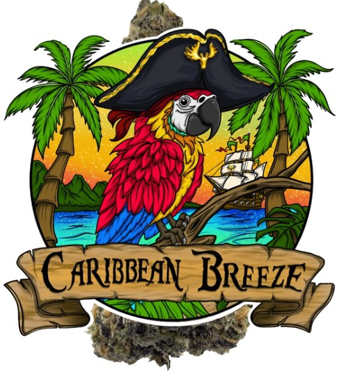 Photograph of product: Caribbean Breeze - pre-roll