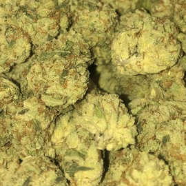Photograph of product: Rocky Mt. Moonshine (Garden First)