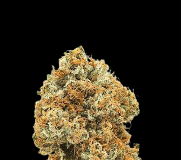 Photograph of product: Super Sonic Haze - 1g