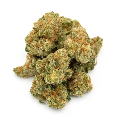 Photograph of product: Electric au chocolatplant (3.5g)