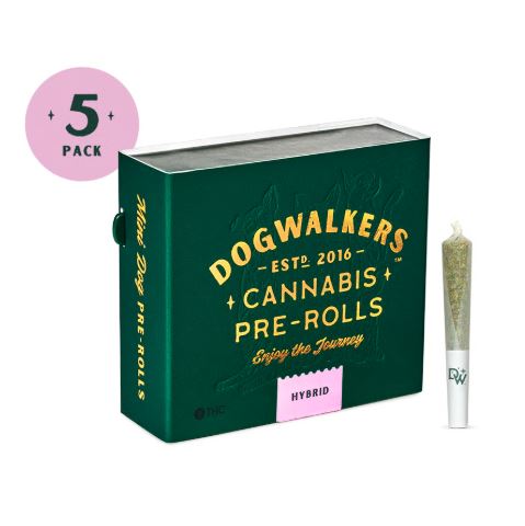 Photograph of Product: Dogwalkers Stay Platinum Sundae Cookies 5 Pack Pre-Roll 1.75g