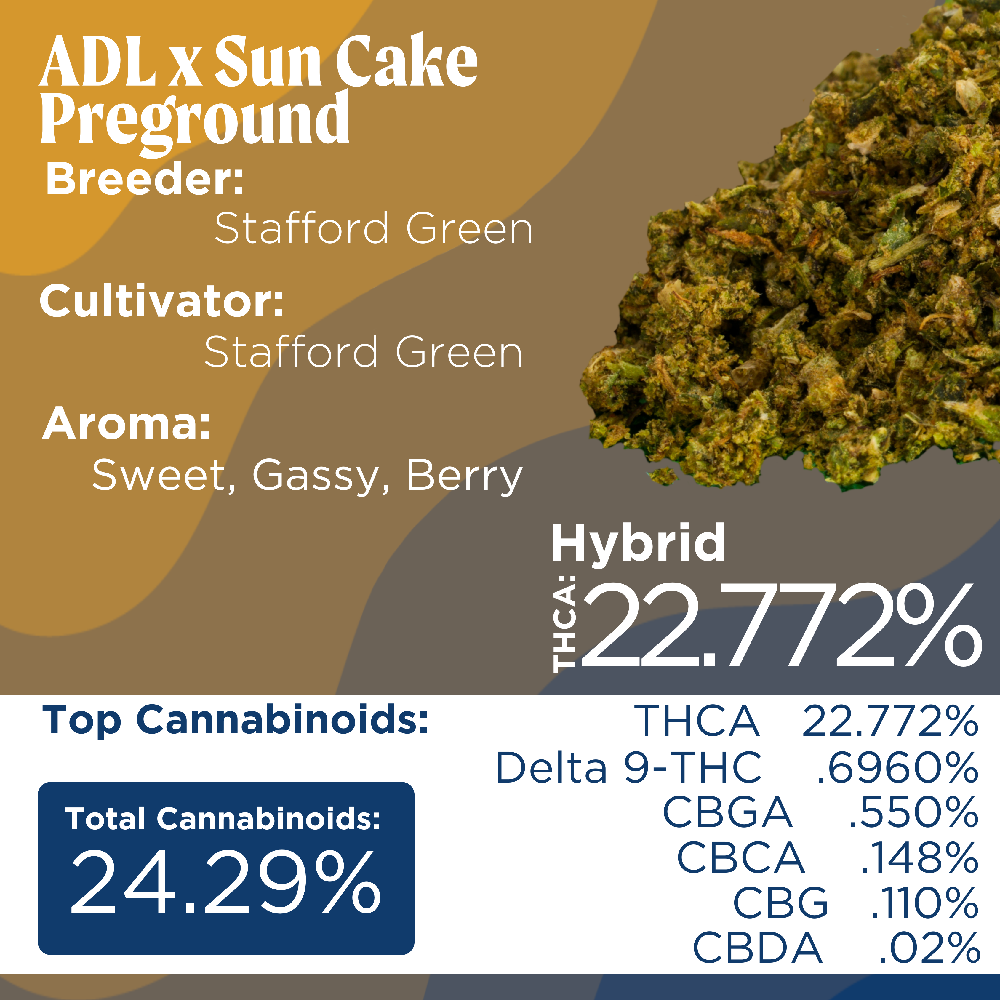 Photograph of product: Deli Style |  ADLSC Pre-Ground | Sungrown - Hybrid - 3.5g