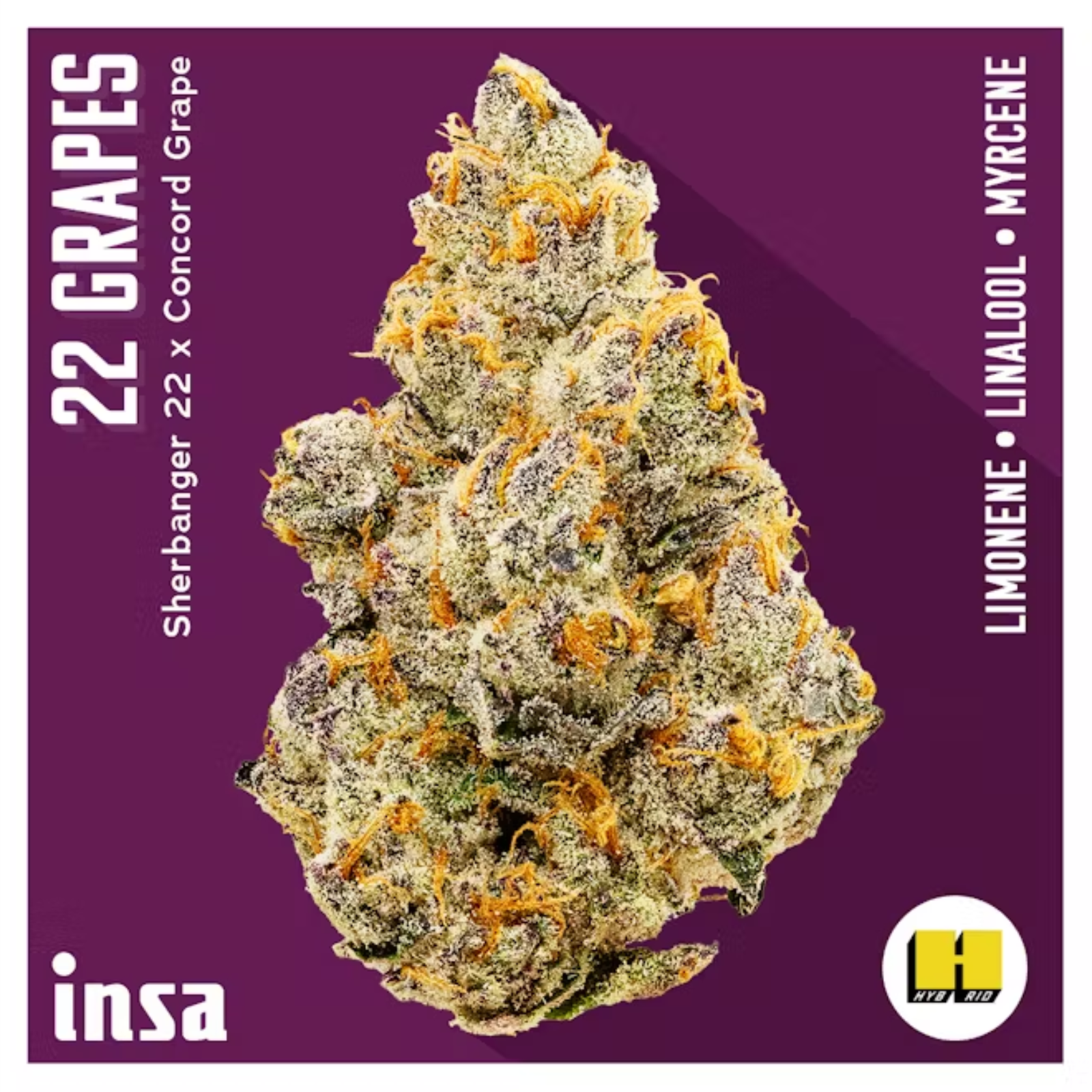 Photograph of product: 3.5g | 22 Grapes | INSA