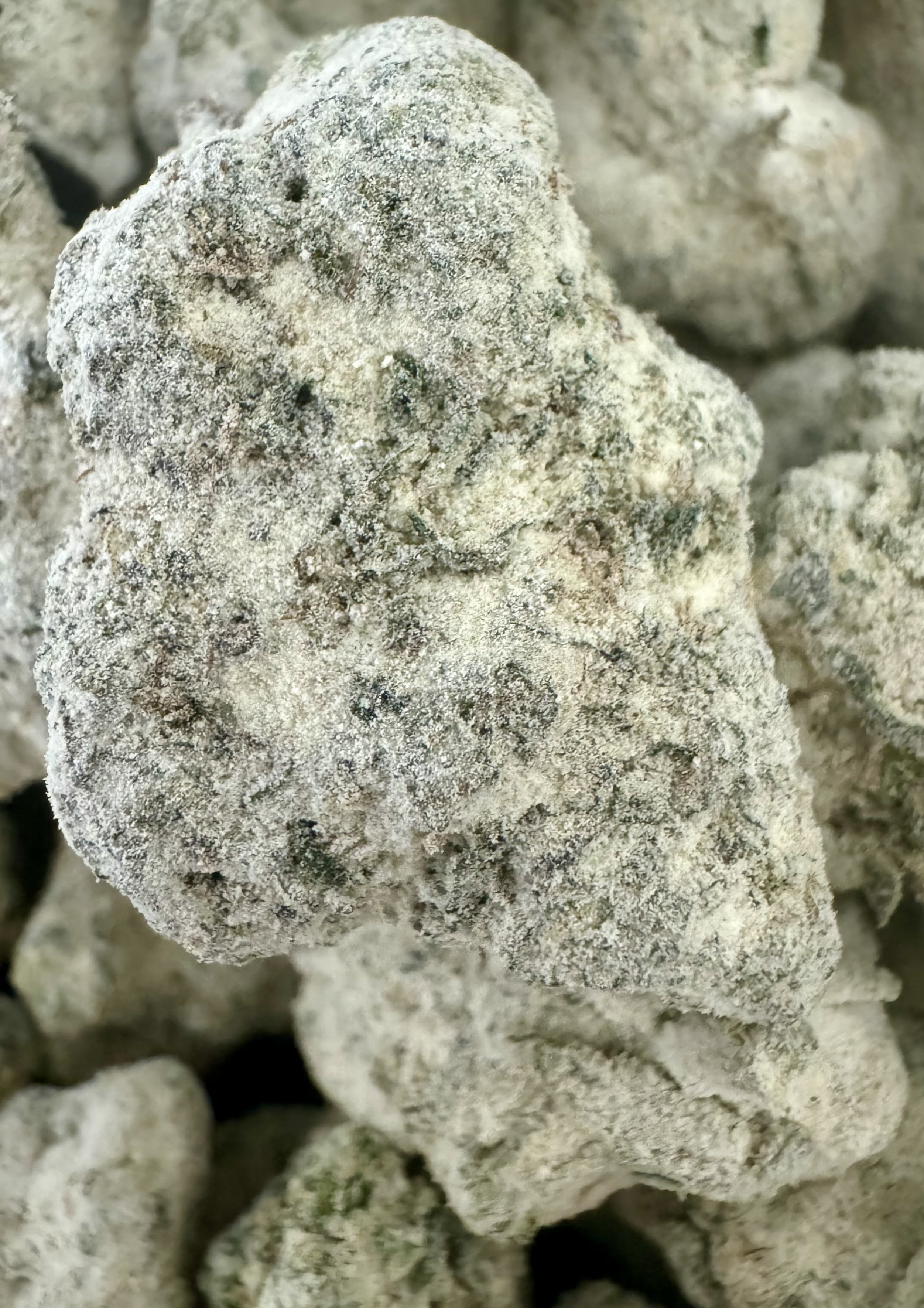 Photograph of product: Fresh Canna - Lemon Cake Bulk Snow Caps - 28g