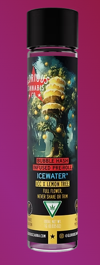 Photograph of product: Glorious Oui'd Icewater Bubble au chocolat Infused Pre-Roll - ICC x Lemon Tree
