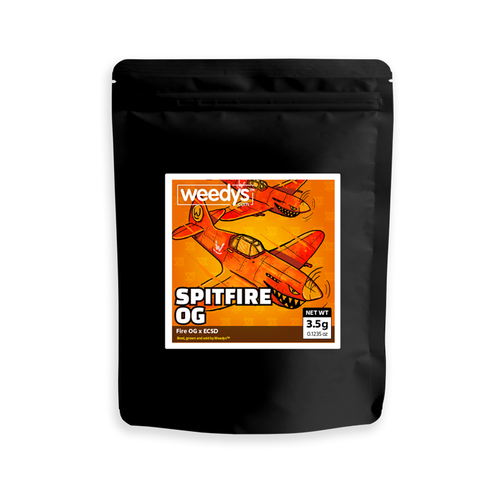 Photograph of product: Spitfire OG | Mid Tier - 28g