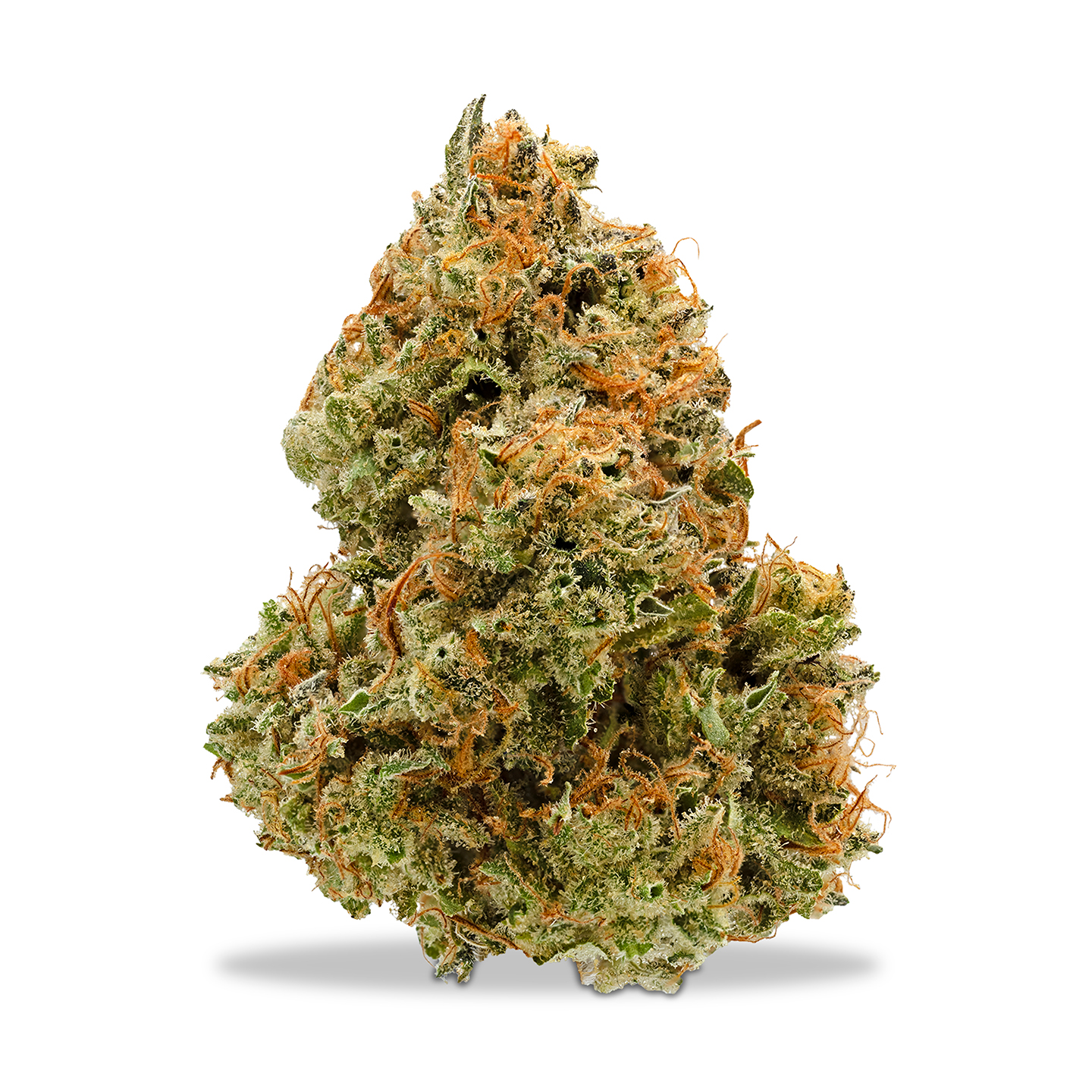 Photograph of product: Deep Creek Gardens - Pineapple Princess - 1g