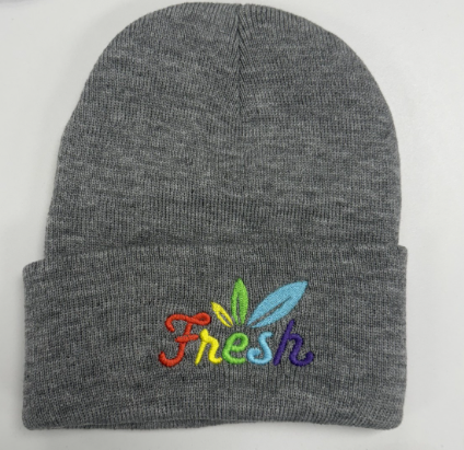 Photograph of product: Fresh | Pride Beanie | Grey