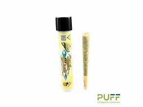 Photograph of product: Cali Blaze - Pina Colada Tarantula | 1G Infused Preroll