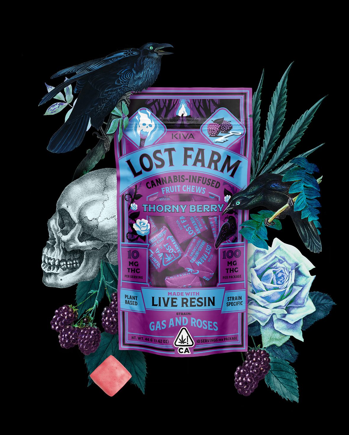 Photograph of product: Lost Farm | Thorny Berry | 200mg TH-oui : 100mg CBN | Live Resin Gummies