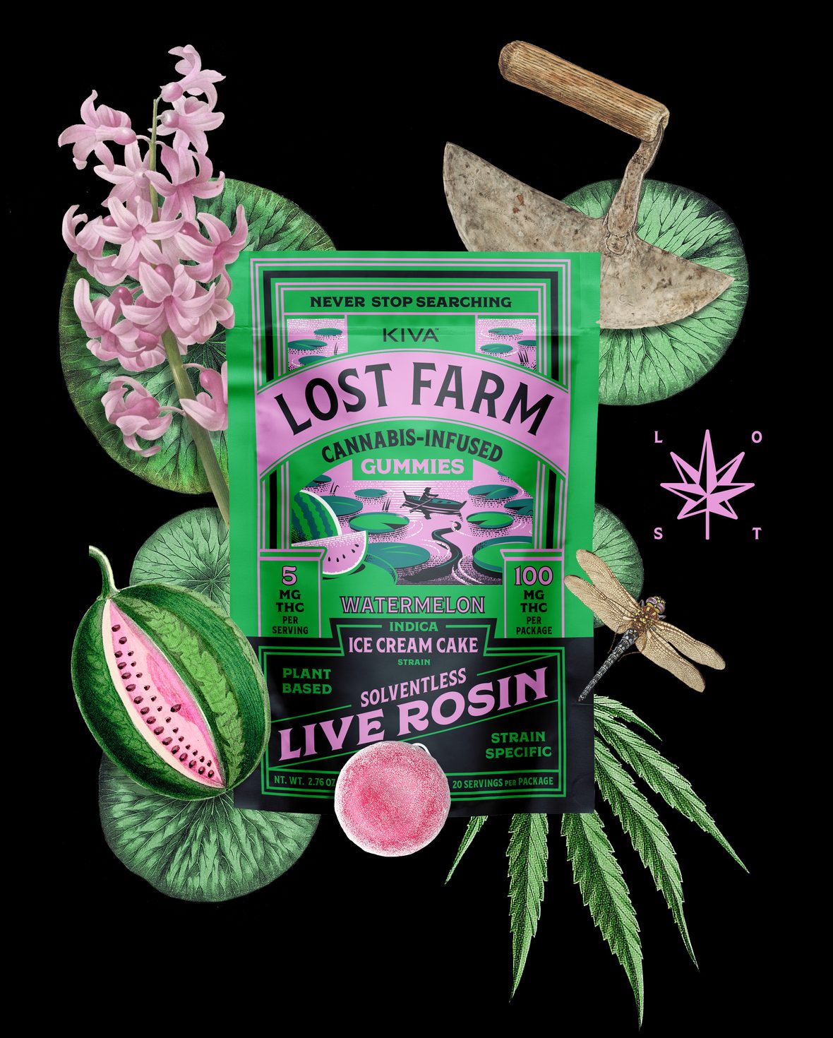 Photograph of product: Lost Farm | Watermelon x Fatso (i) Live Rosin Gummies 10mg/10-pk