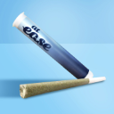 Photograph of product: Milk Bone F2 #10 | Preroll | 1g