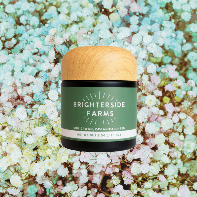 Photograph of product: FLOWER | STANK BREATH | 3.5G