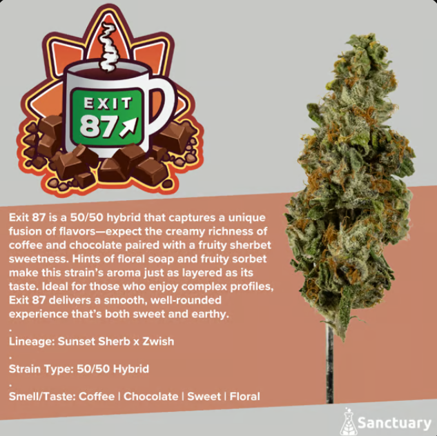 Photograph of product: Exit 87 - Buds 1g
