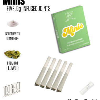 Photograph of product: Minis - Blue Dream - Infused Pre-Rolls - 5 Pack