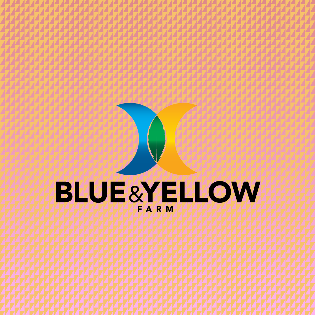 Photograph of product: Cap Junky MINIS | Blue and Yellow - 28g