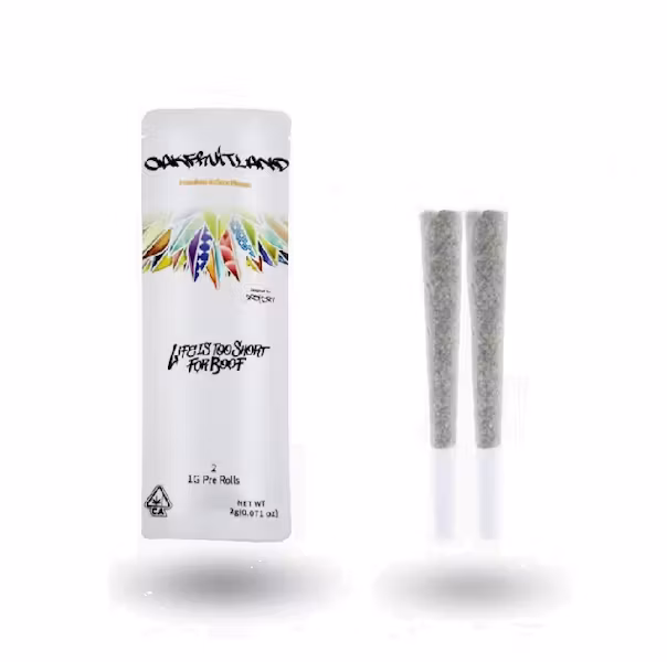 Photograph of product: LUCKY DRAGON DUAL PACK | 2PK | 2G