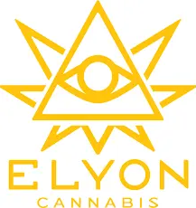 Photograph of product: [REC] Elyon | Cushion Cut | 1.5g Dank Diamonds Infused Pre Roll