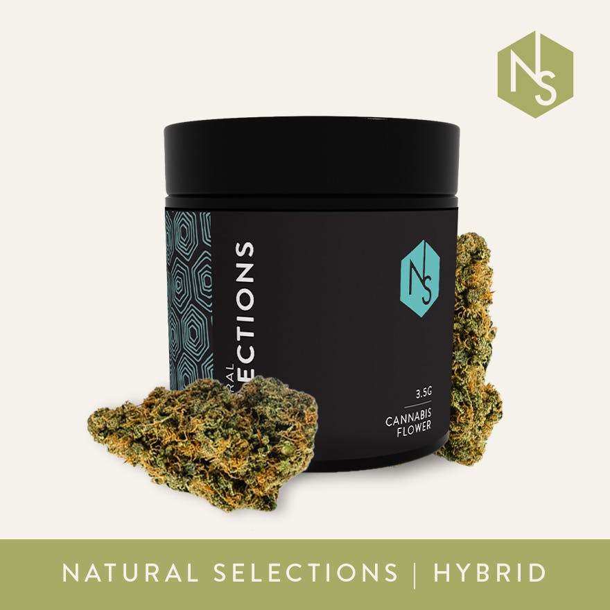 Photograph of product: Natural Selections | Garlic Juice | Flower - 3.5g