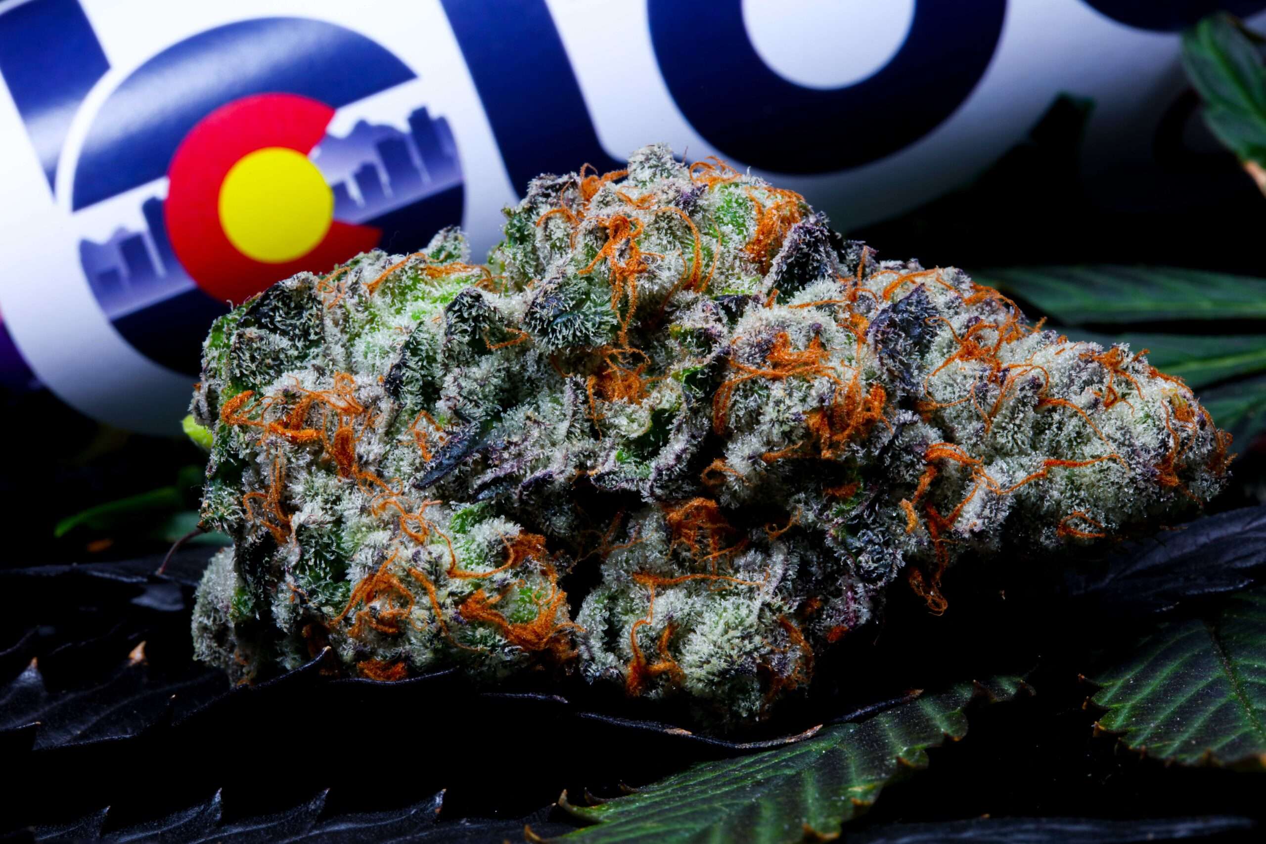 Photograph of product: Bloom County | Bud | Showstopper (H) - 28g