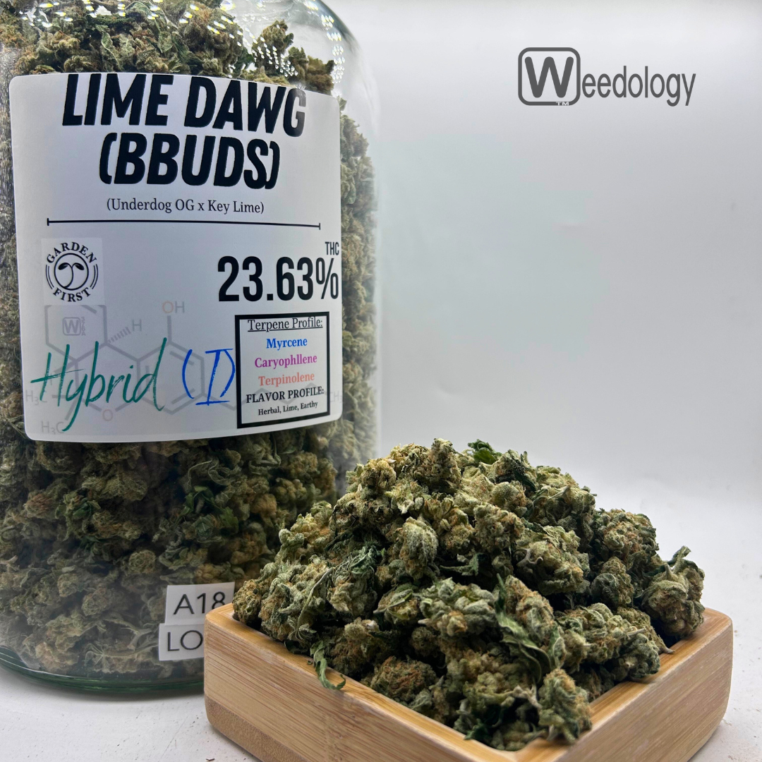 Photograph of product: Lime Dawg (BBUDS)(I-H) - 28g