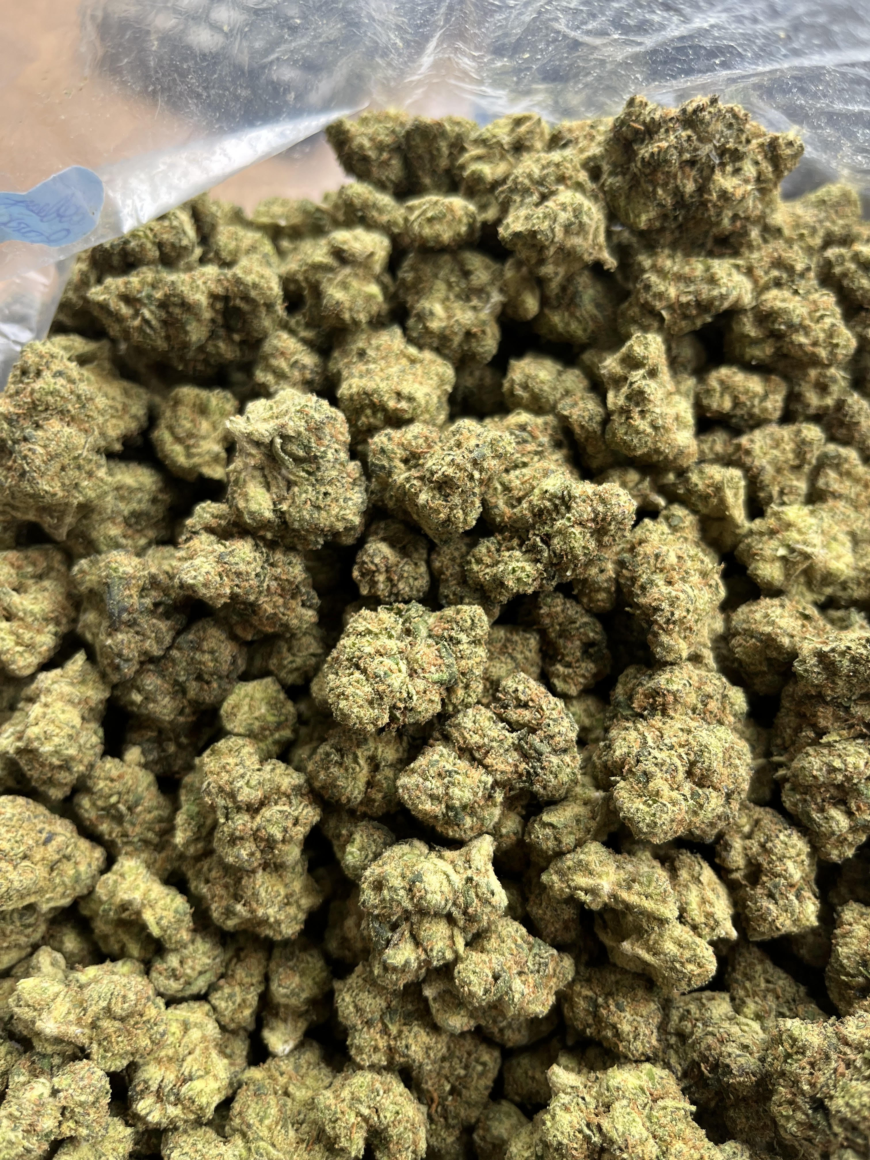 Photograph of product: College Park - 28g