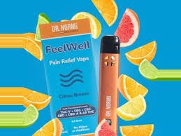 Photograph of product: [Dr. Norms] AIO - .5G - Feelwell Citrus Breeze Pain Relief (S) - 