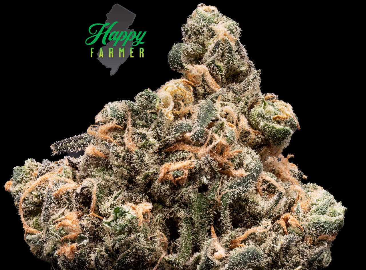 Photograph of product: Happy Farmer Blue Dream 3.5g