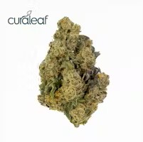 Photograph of product: CURALEAF | Jayna's Sunshine | Flower | 3.5g