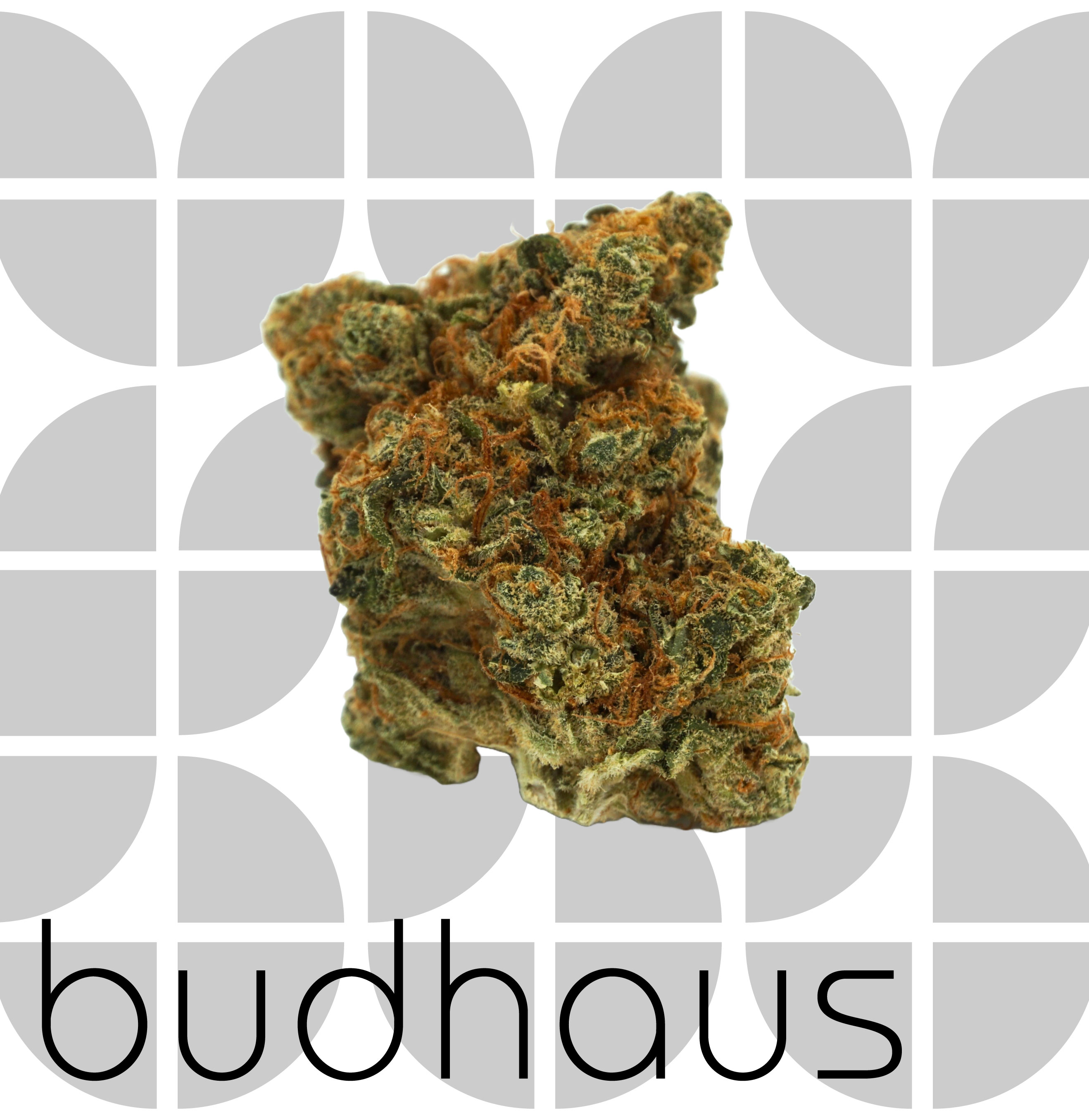 Photograph of product: G-13 - Bud - 1g