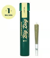 Photograph of product: East Coast Sour Diesel Big Dogs 1g (Play)