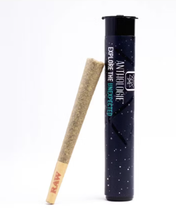 Photograph of product: Anthologie | Pre-Roll | Local  Skunk | 1g-Oui'd-Hybrid