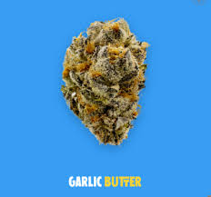 Photograph of product: Buoyant Bob's Garlic Butter Flower (3.5g)