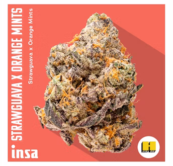 Photograph of product: StrawGuava x Orange Mints - 28g