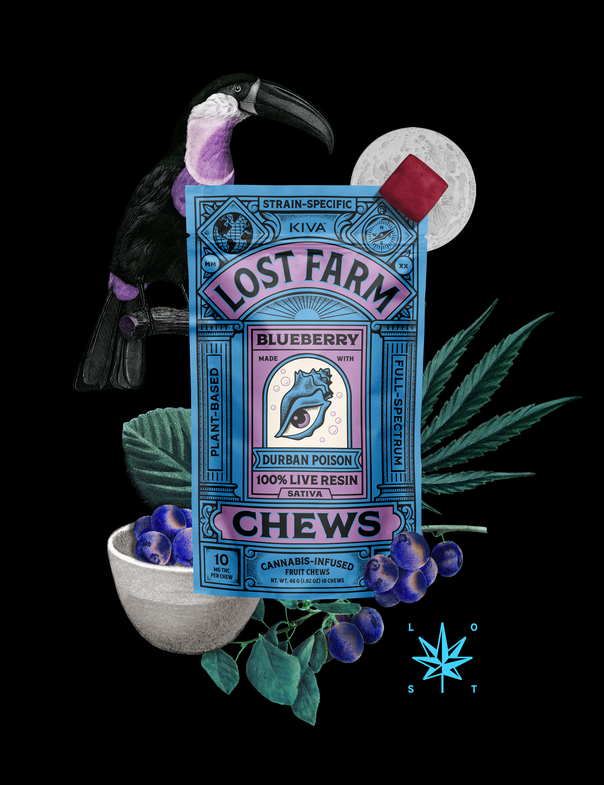 Photograph of product: Fruit Chews | Lost Farm | Blueberry 10pk.