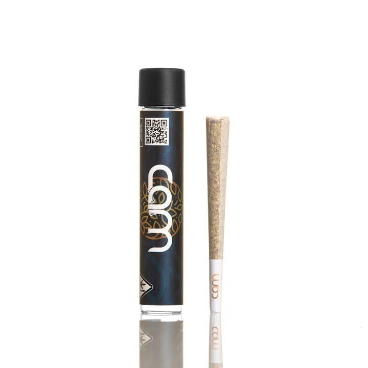 Photograph of product: CAM - Bubba's Girl Preroll - 1g