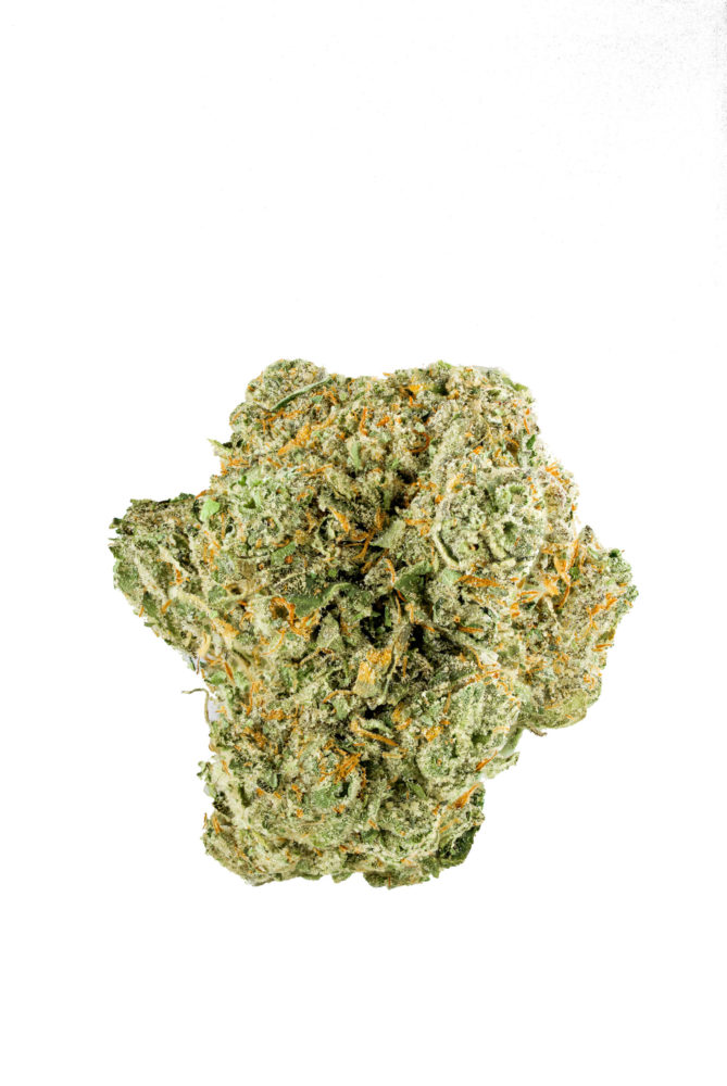 Photograph of Product: Quattro Kush 1/8 31.19% TAC - 3.5g