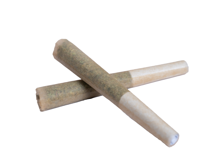 Photograph of product: The Standard - Preroll - Bl3 NRDZ - 2 Pack