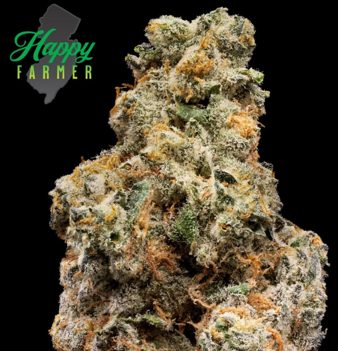 Photograph of product: [REC] The Happy Farmer | Girl Scout Cookies | 3.5g flower
