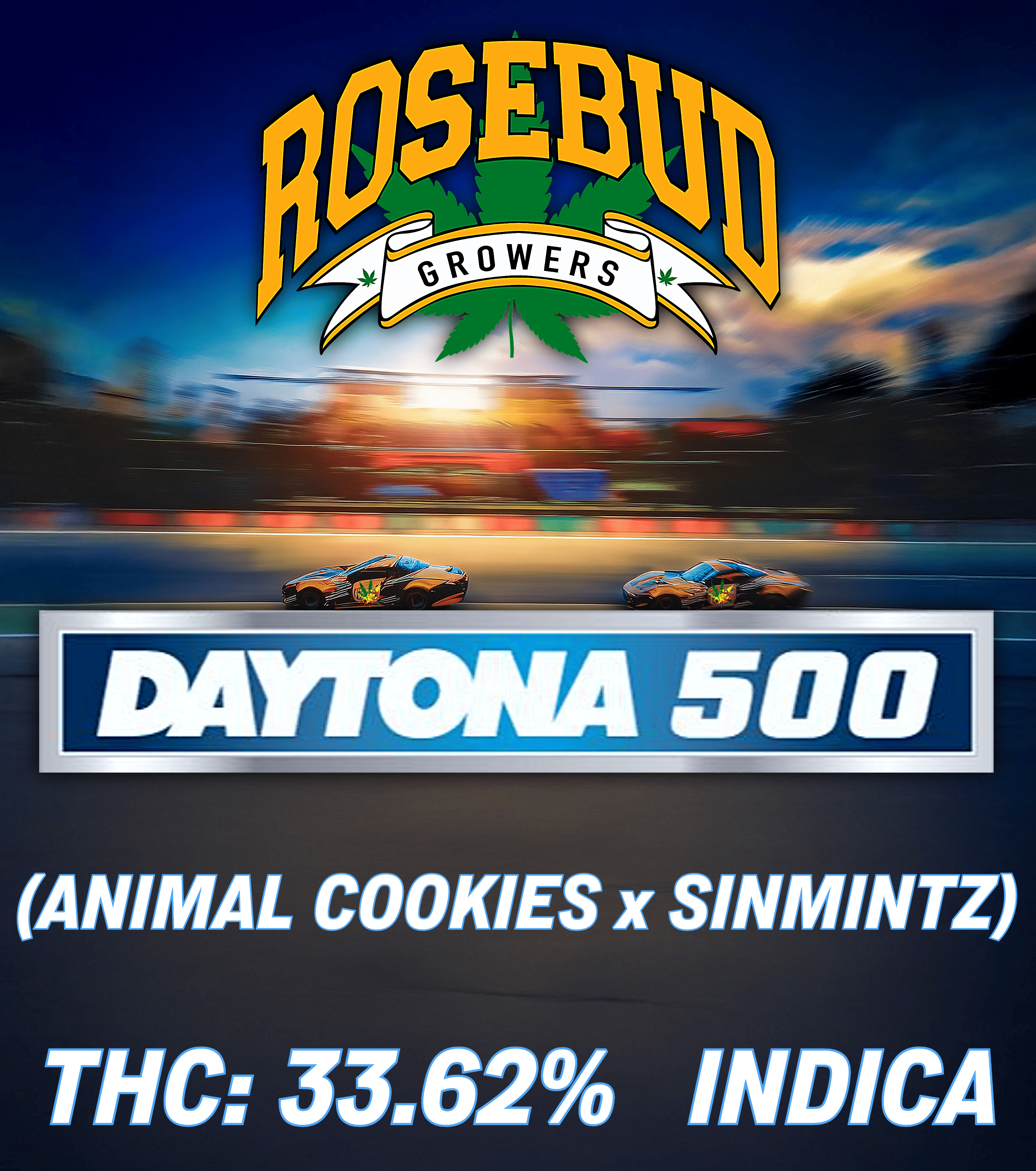 Photograph of product: Daytona 500 (Rosebud Growers) - 28g