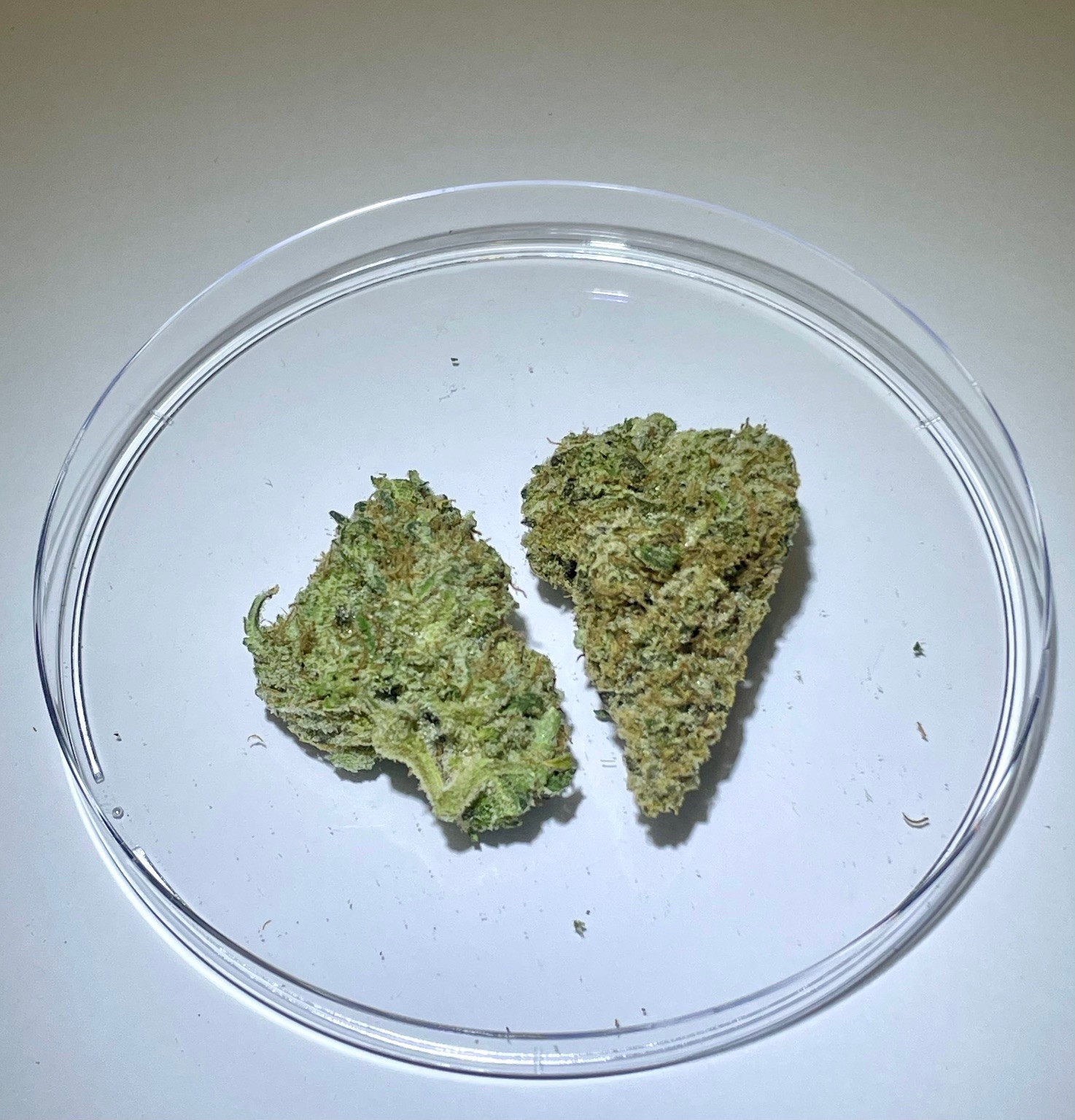 Photograph of product: OMMP Blueberry - 2g