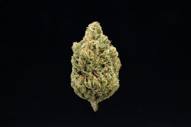 Photograph of product: Headband | 3.5g Flower