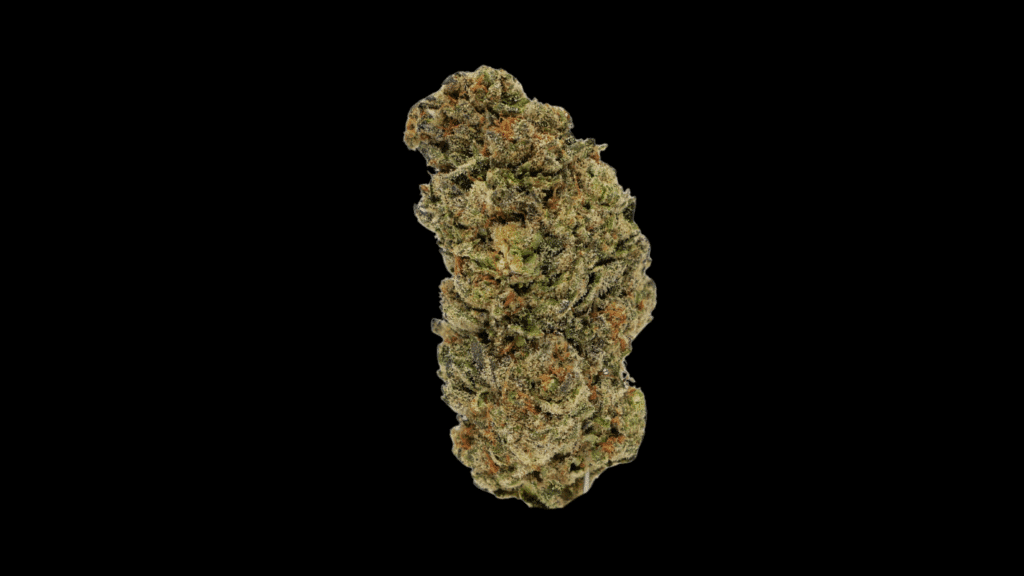 Photograph of product: FLOWERHOUSE | FLOWER | ORANGE DIESEL | 14G