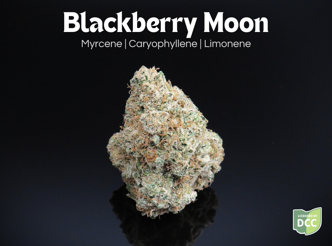 Photograph of product: Blackberry Moon - 14.15g