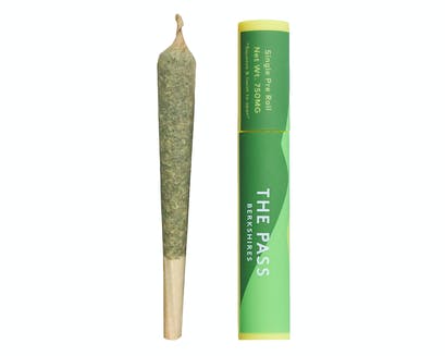 Photograph of product: Hot Rod Pre-roll 1g