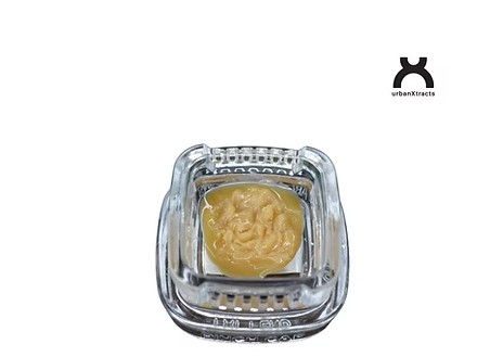 Photograph of product: Singapore Sling | Cold Cure Live Rosin | 1g